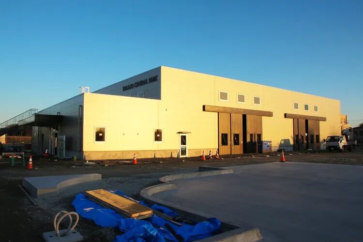 "把滑板场建造外包给不懂滑板的人, 注定是浪费时间和精力! "｜一场罕见的三方采访-MadFuture 疯未来